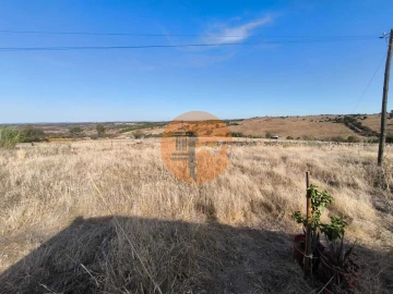 Terreno para Venda em Alcoutim e Pereiro