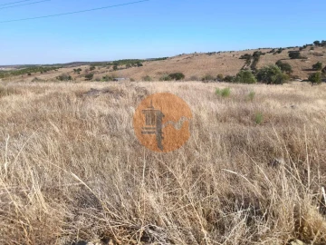 Terreno para Venda em Alcoutim e Pereiro