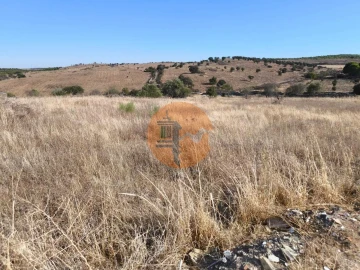 Terreno para Venda em Alcoutim e Pereiro