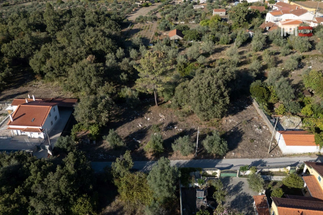 Terreno para Venda em Pedreiras Foto 3