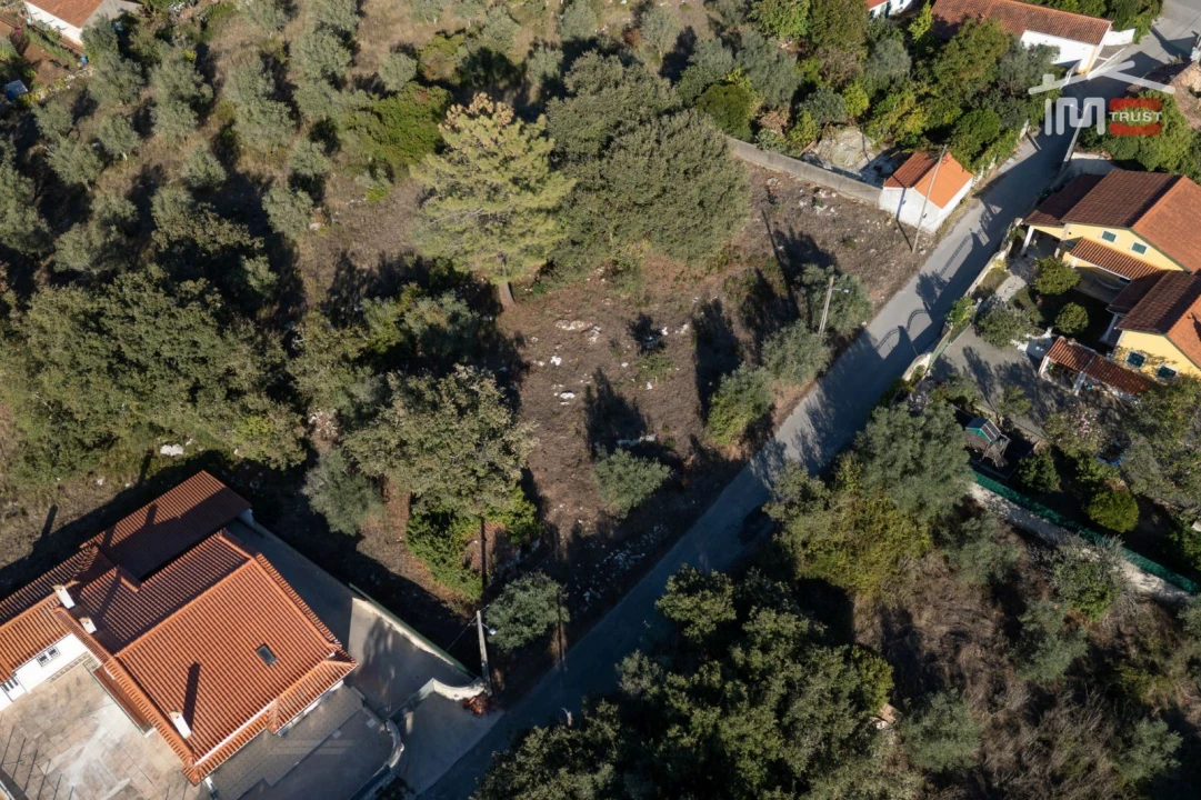 Terreno para Venda em Pedreiras Foto 5