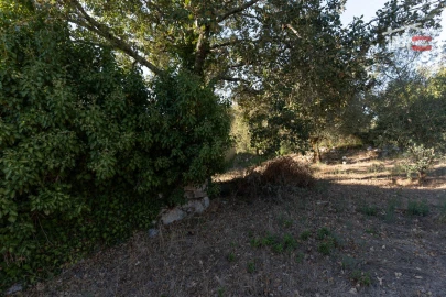 Terreno para Venda em Pedreiras