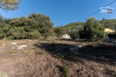 Terreno para Venda em Pedreiras