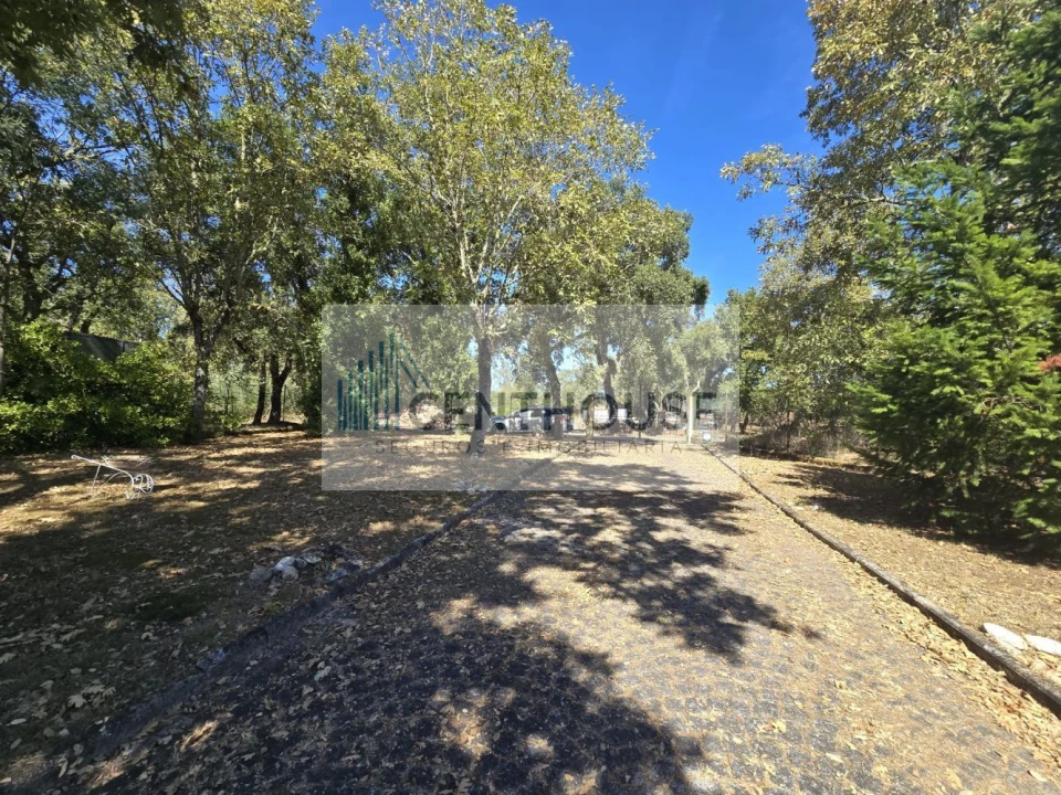 Moradia T4 para Venda em Sarzedo Foto 8