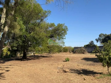 Quinta T3 para Venda em Bacelo e Senhora da Saúde