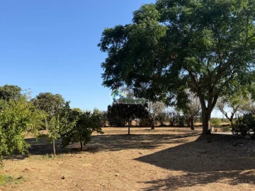 Quinta T3 para Venda em Bacelo e Senhora da Saúde