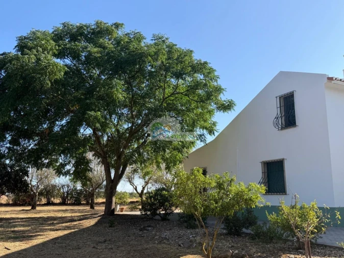 Quinta T3 para Venda em Bacelo e Senhora da Saúde Foto 54