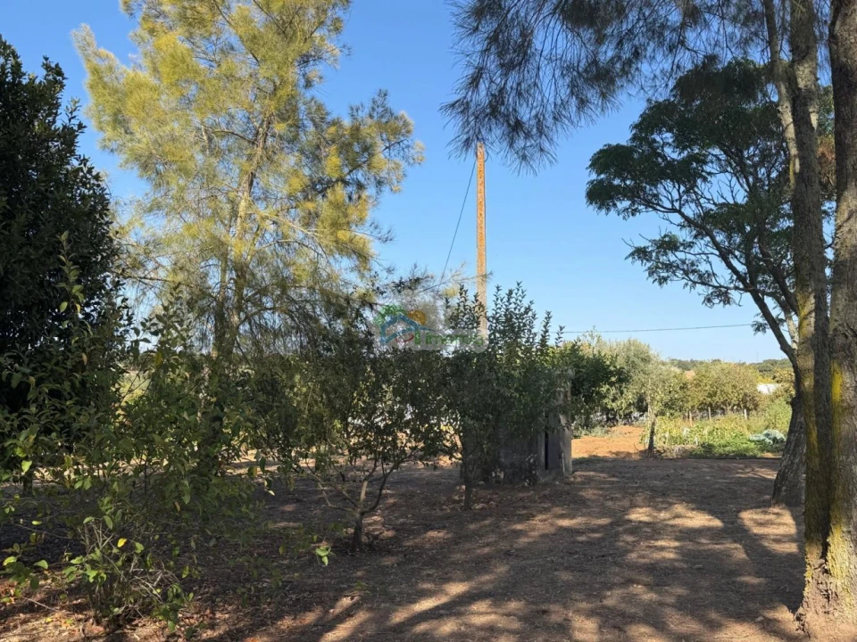 Quinta T3 para Venda em Bacelo e Senhora da Saúde Foto 47