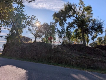 Terreno para Venda em Cernache do Bonjardim, Nesperal e Palhais