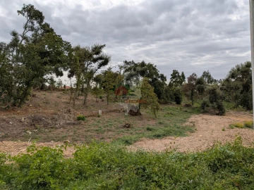 Terreno para Venda em Cernache do Bonjardim, Nesperal e Palhais