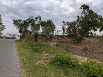 Terreno para Venda em Cernache do Bonjardim, Nesperal e Palhais