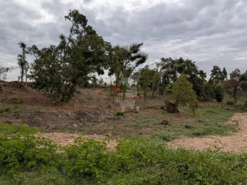 Terreno para Venda em Cernache do Bonjardim, Nesperal e Palhais