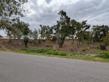 Terreno para Venda em Cernache do Bonjardim, Nesperal e Palhais