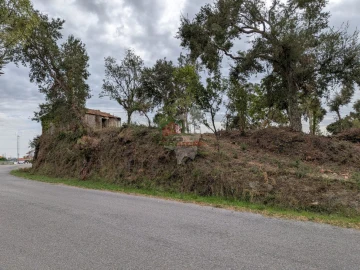 Terreno para Venda em Cernache do Bonjardim, Nesperal e Palhais