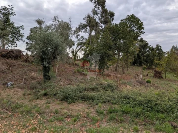Terreno para Venda em Cernache do Bonjardim, Nesperal e Palhais