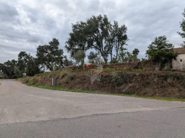 Terreno para Venda em Cernache do Bonjardim, Nesperal e Palhais