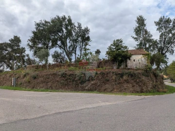 Terreno para Venda em Cernache do Bonjardim, Nesperal e Palhais