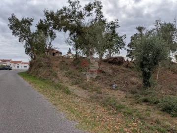 Terreno para Venda em Cernache do Bonjardim, Nesperal e Palhais