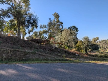 Terreno para Venda em Cernache do Bonjardim, Nesperal e Palhais