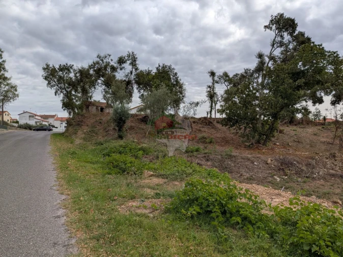 Terreno para Venda em Cernache do Bonjardim, Nesperal e Palhais Foto 7