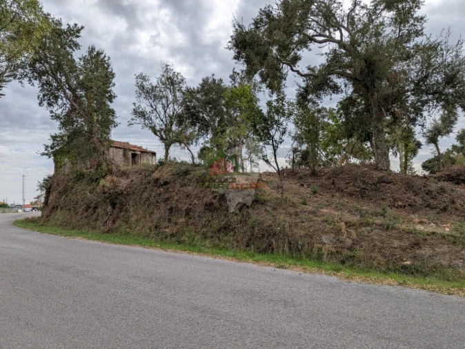 Terreno para Venda em Cernache do Bonjardim, Nesperal e Palhais Foto 10