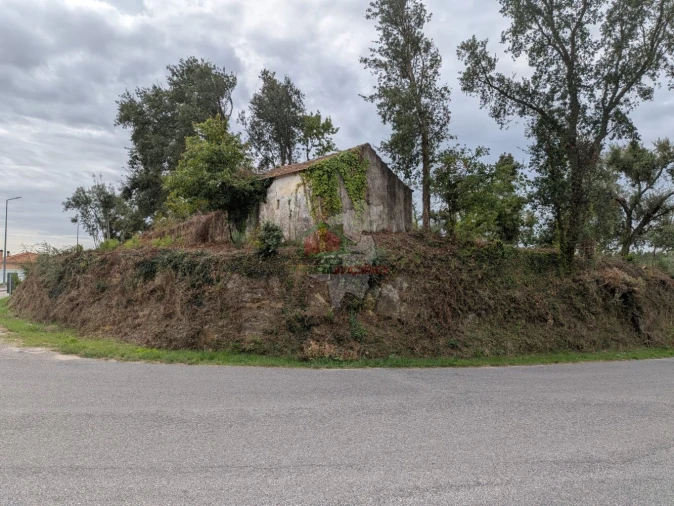 Terreno para Venda em Cernache do Bonjardim, Nesperal e Palhais Foto 11