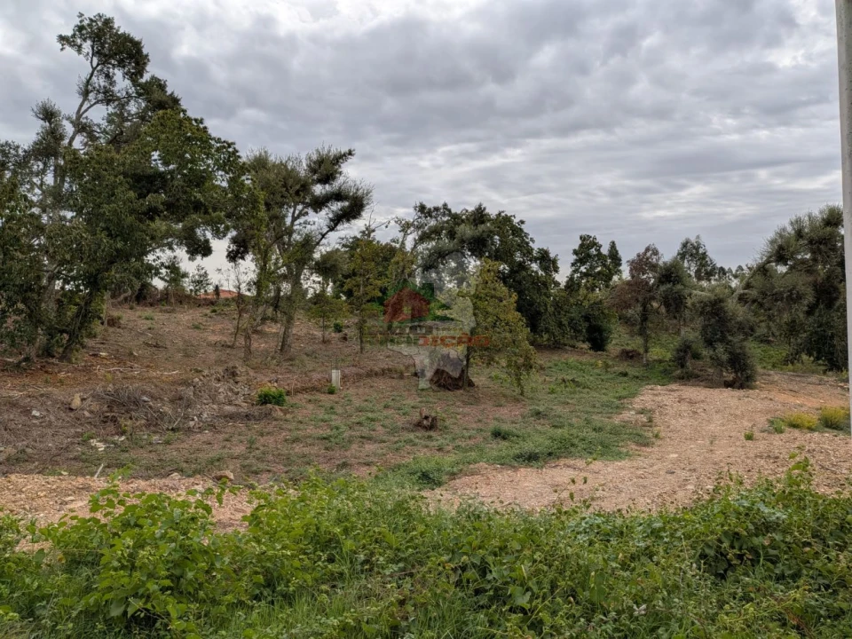 Terreno para Venda em Cernache do Bonjardim, Nesperal e Palhais Foto 6