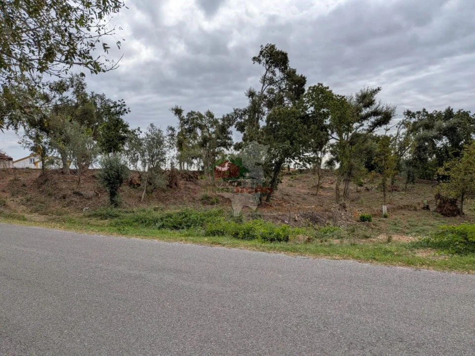 Terreno para Venda em Cernache do Bonjardim, Nesperal e Palhais Foto 4