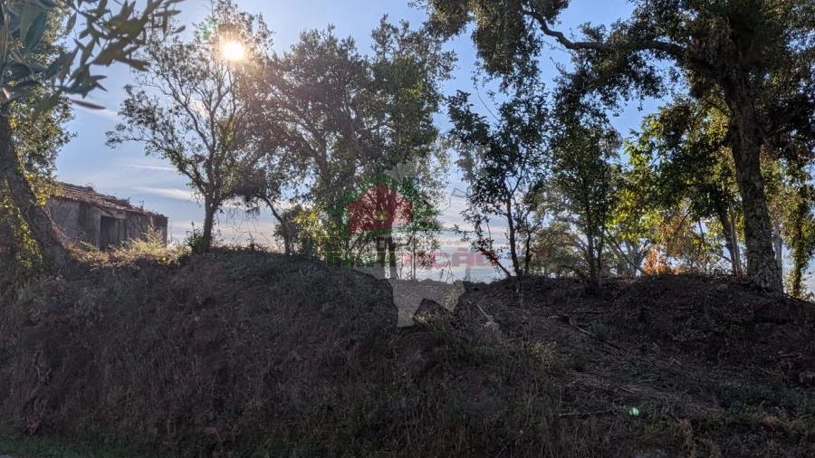 Terreno para Venda em Cernache do Bonjardim, Nesperal e Palhais