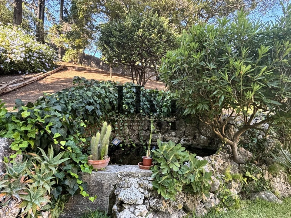 Quinta T10 para Venda em Oeiras e São Julião da Barra, Paço de Arcos e Caxias Foto 34
