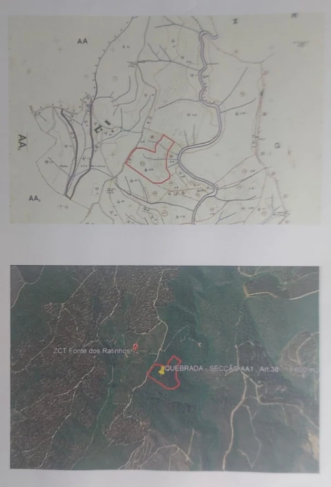 Terreno para Venda em Sarnadas de Rodão