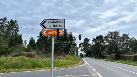 Terreno para Venda em Sarnadas de Rodão