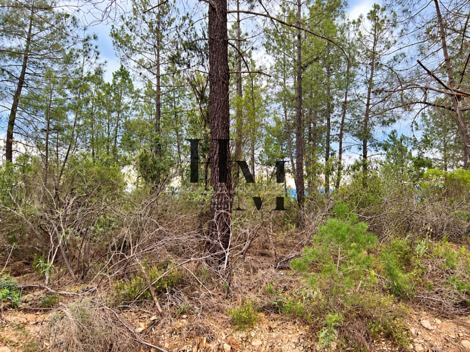 Terreno para Venda em Sarnadas de Rodão Foto 1