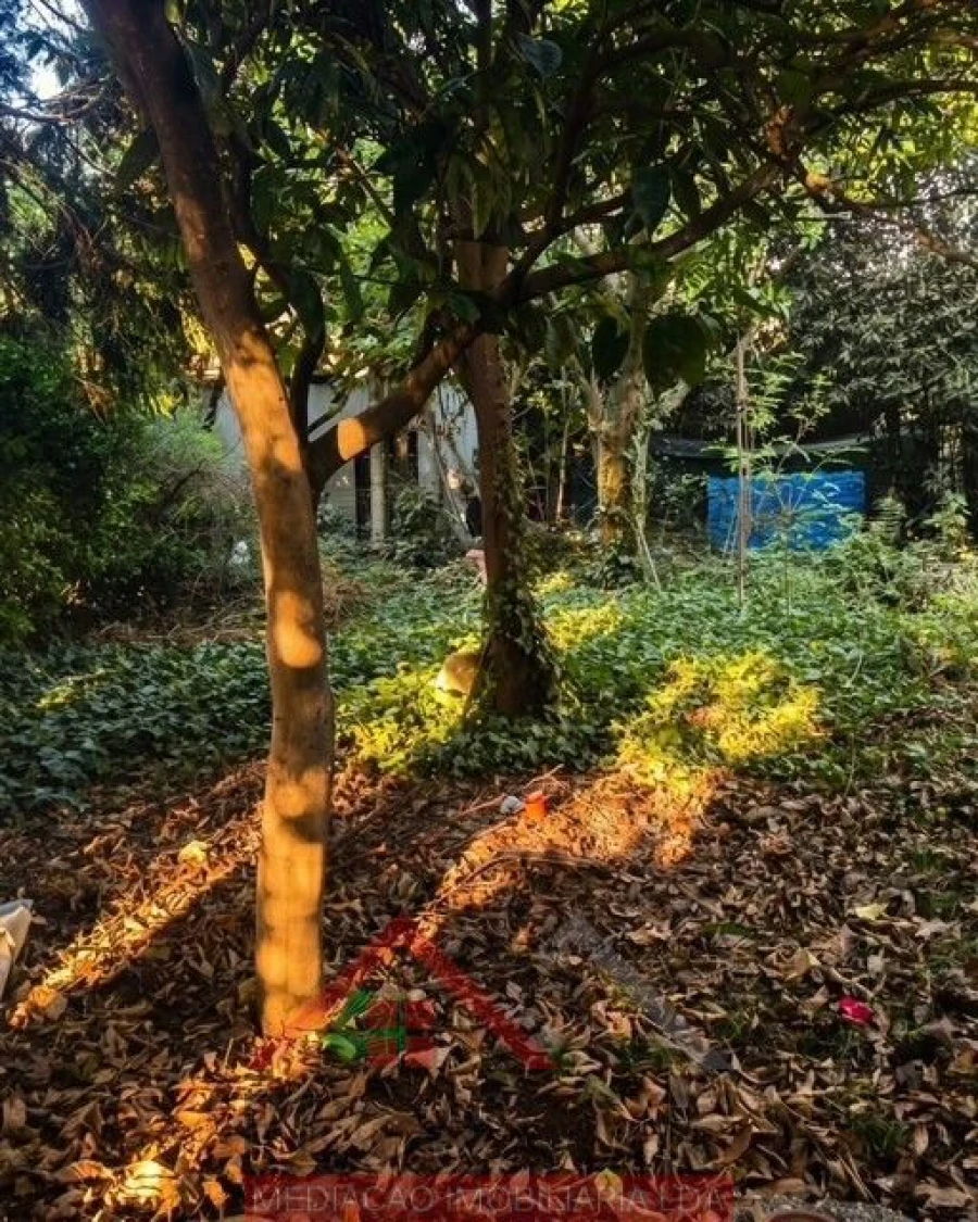 Moradia T3 para Venda em Areias, Sequeirô, Lama e Palmeira Foto 7