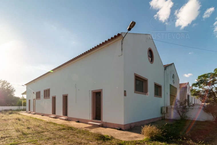 Armazém para Arrendamento em Nossa Senhora da Tourega e Nossa Senhora de Guadalupe Foto 3