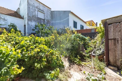 Moradia T1 para Venda em Ribafria e Pereiro de Palhacana