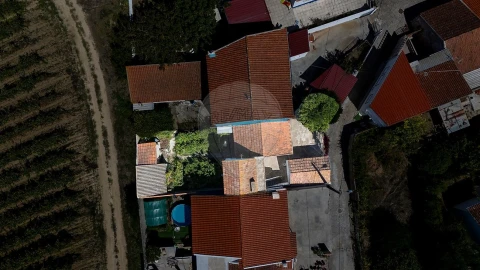 Moradia T1 para Venda em Ribafria e Pereiro de Palhacana
