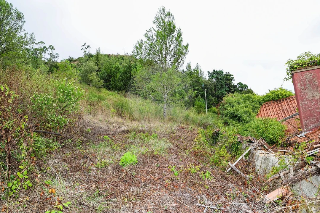 Moradia para Venda em Arruda dos Vinhos Foto 8