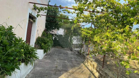 Quinta T6 para Venda em Povoa de Midões