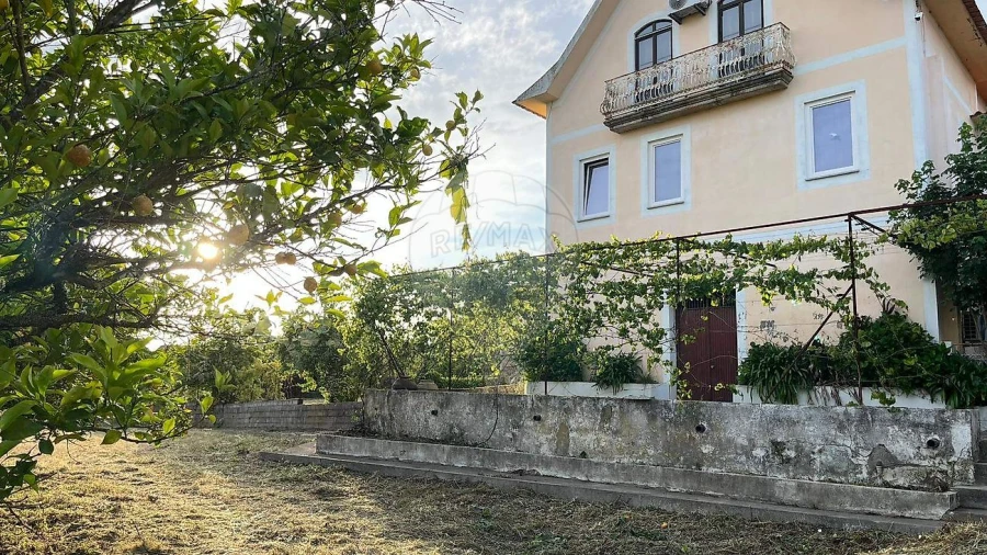Quinta T6 para Venda em Povoa de Midões Foto 19