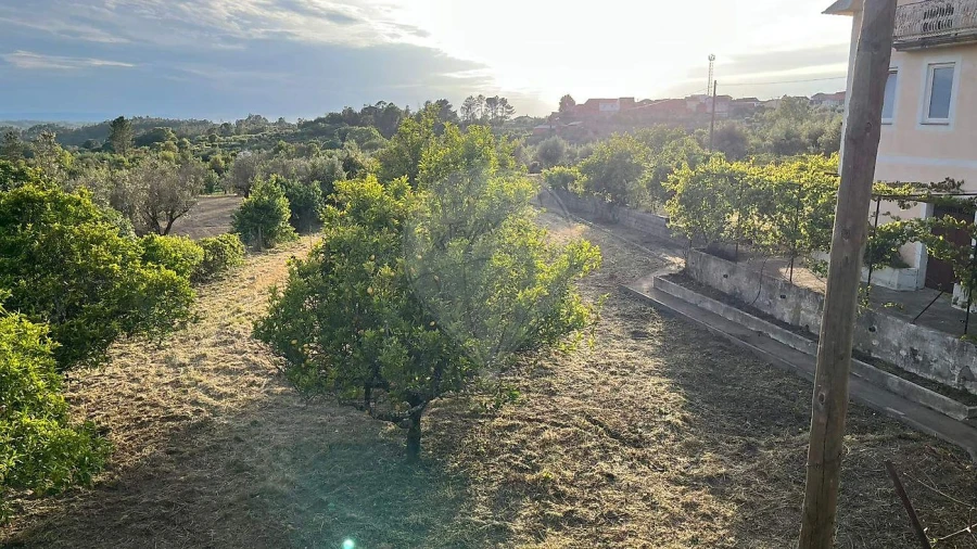 Quinta T6 para Venda em Povoa de Midões Foto 16
