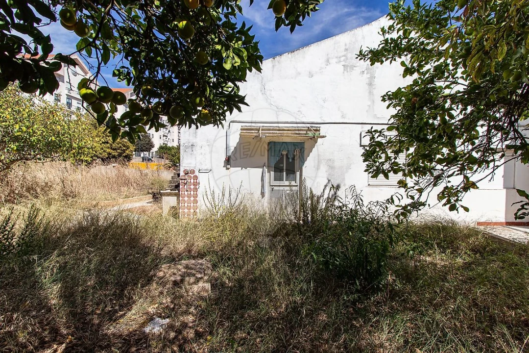 Terreno para Venda em Oeiras e São Julião da Barra, Paço de Arcos e Caxias Foto 20