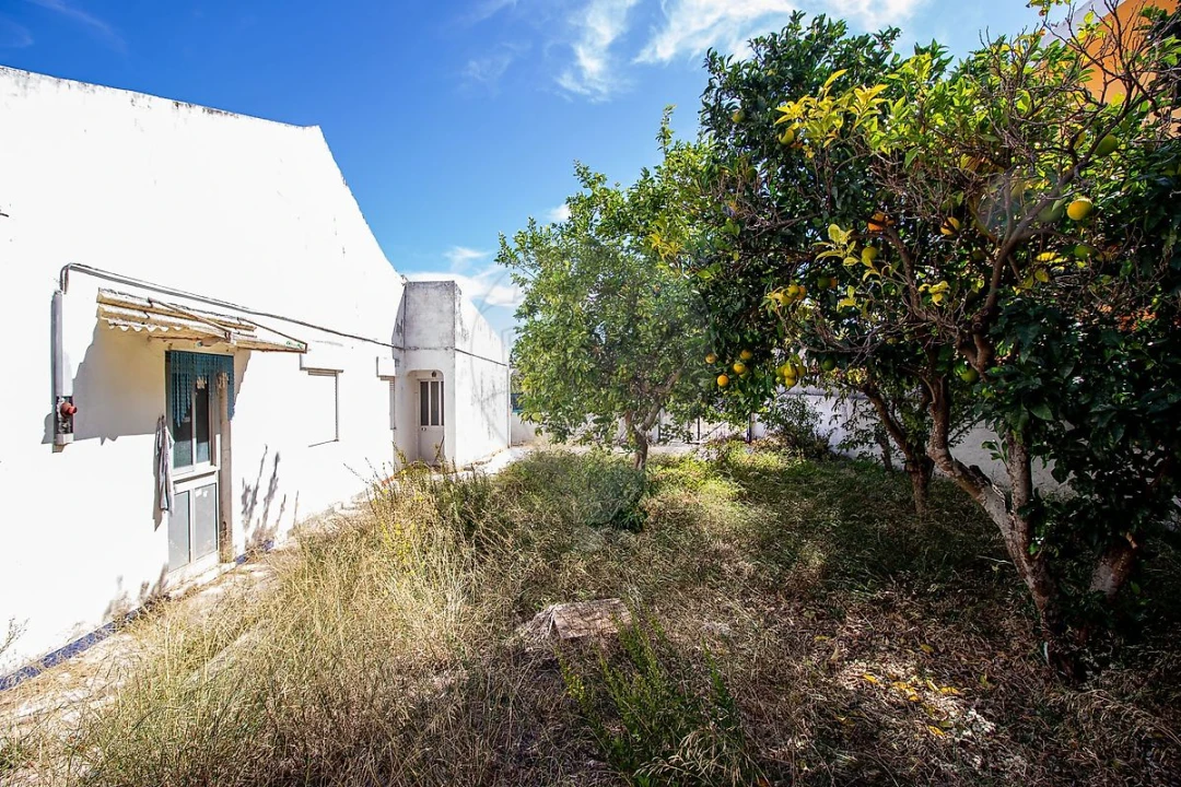 Terreno para Venda em Oeiras e São Julião da Barra, Paço de Arcos e Caxias Foto 21