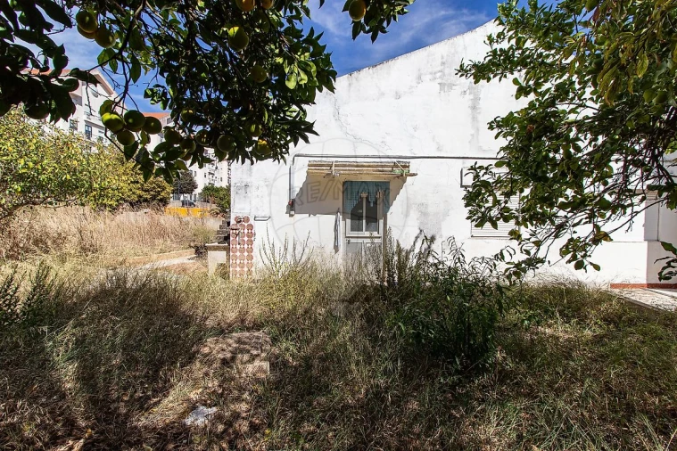 Terreno para Venda em Oeiras e São Julião da Barra, Paço de Arcos e Caxias Foto 20