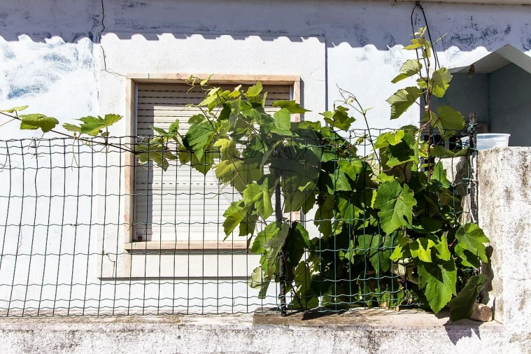 Terreno para Venda em Oeiras e São Julião da Barra, Paço de Arcos e Caxias Foto 2