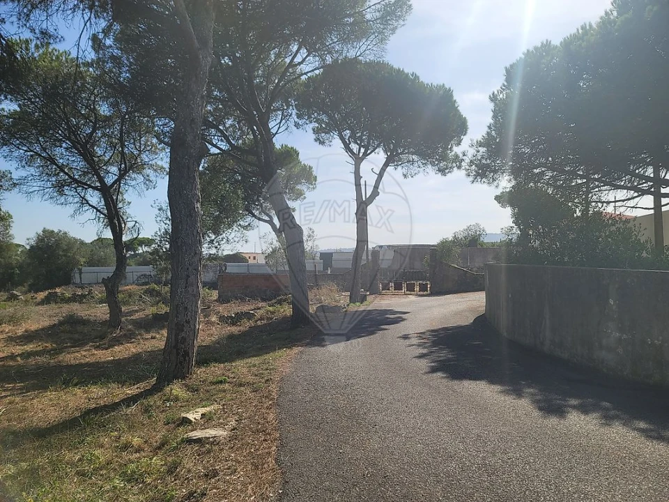 Terreno para Venda em São João das Lampas e Terrugem Foto 3
