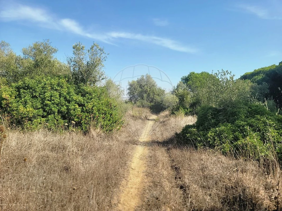 Terreno para Venda em São João das Lampas e Terrugem Foto 17