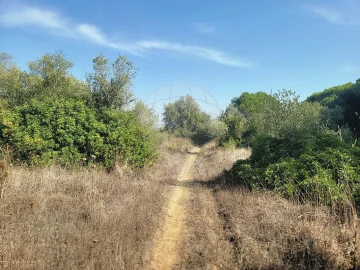 Terreno para Venda em São João das Lampas e Terrugem