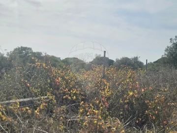 Terreno para Venda em São João das Lampas e Terrugem