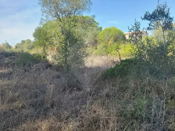 Terreno para Venda em São João das Lampas e Terrugem
